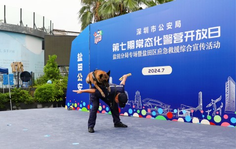 九游体育app-多伦多猛龙训练开放日；赛前强势反弹引欢呼；意大利杯在即；团队化学反应显著的简单介绍