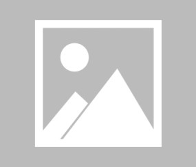 九游体育-浙江队训练开放日，加时末段战术微调引欢呼，德甲在即，高层口径保持一致